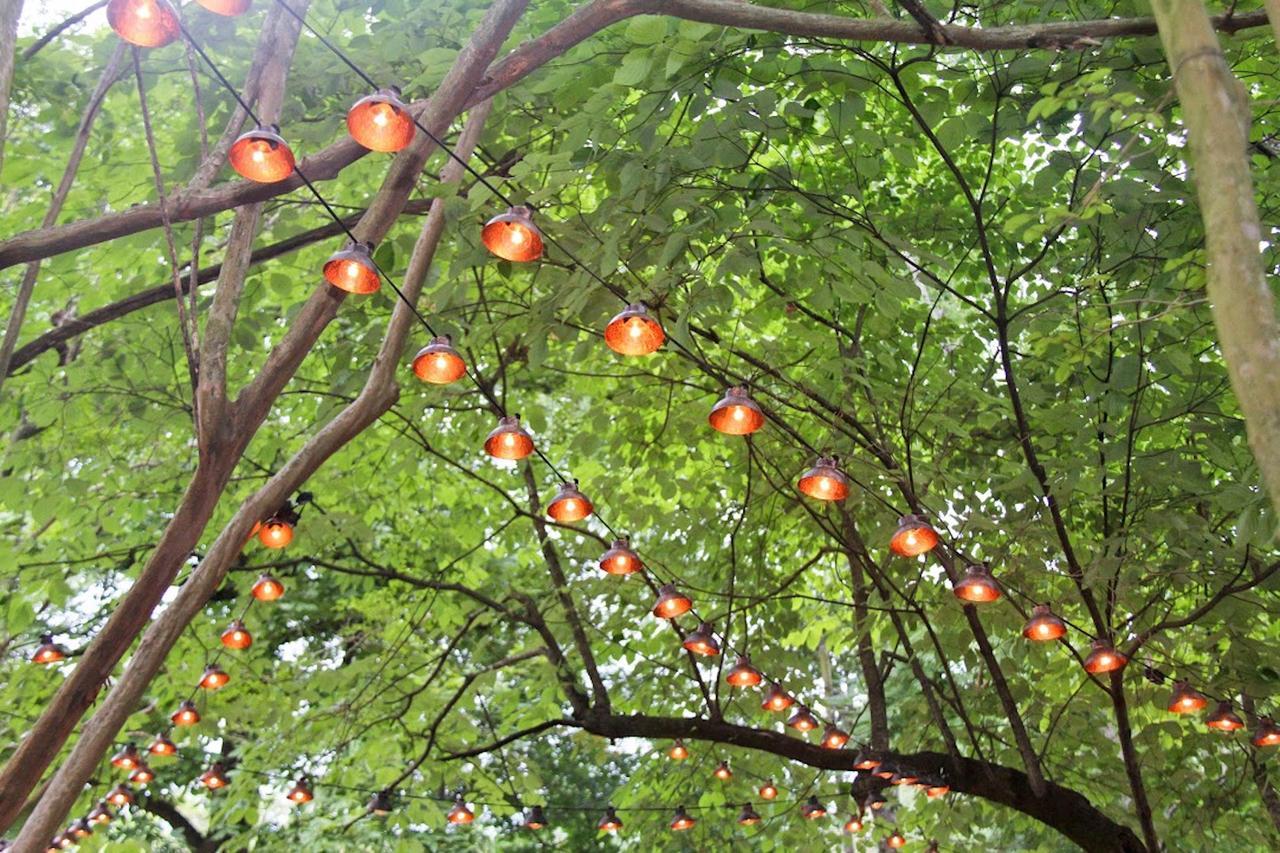 Bama Bed And Breakfast - Chimes Suite Tuscaloosa Exteriér fotografie